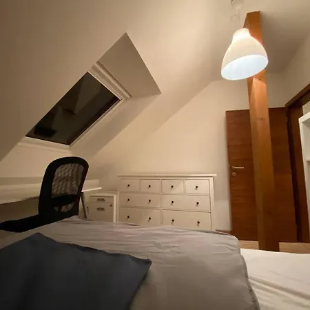 Wekings Apartments Apartment *